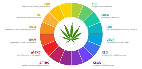 Different Types Of THC